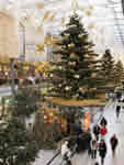 Albero natale