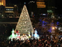 Alberi di Natale