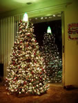 Immagini albero natale