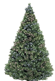 Storia Albero di Natale